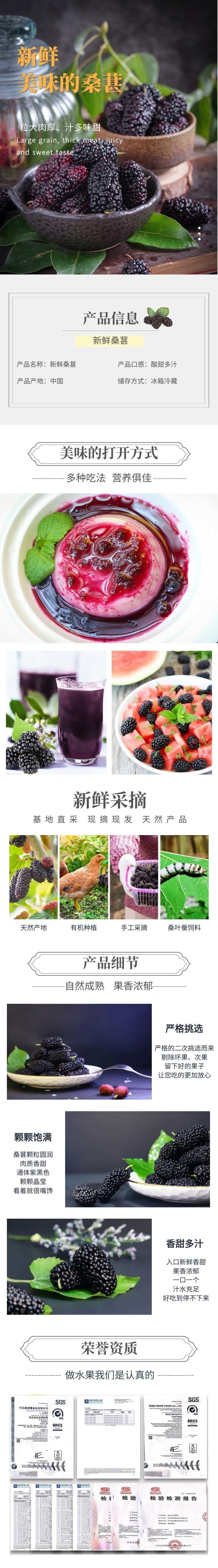 网站-新鲜桑葚 网站-新鲜桑葚