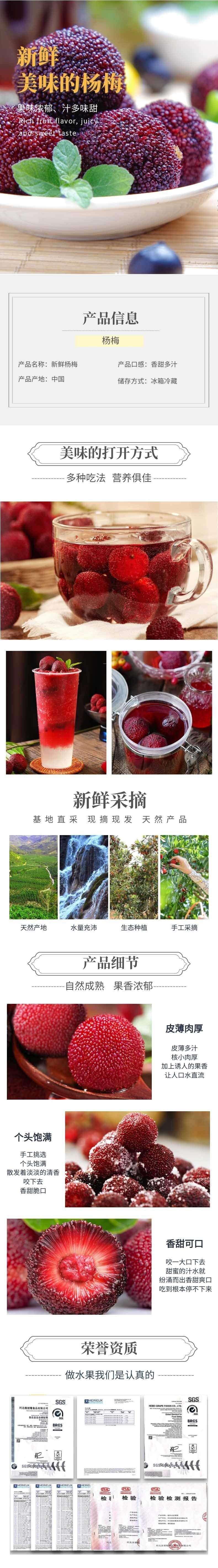 网站-杨梅@凡科快图 网站-杨梅@凡科快图