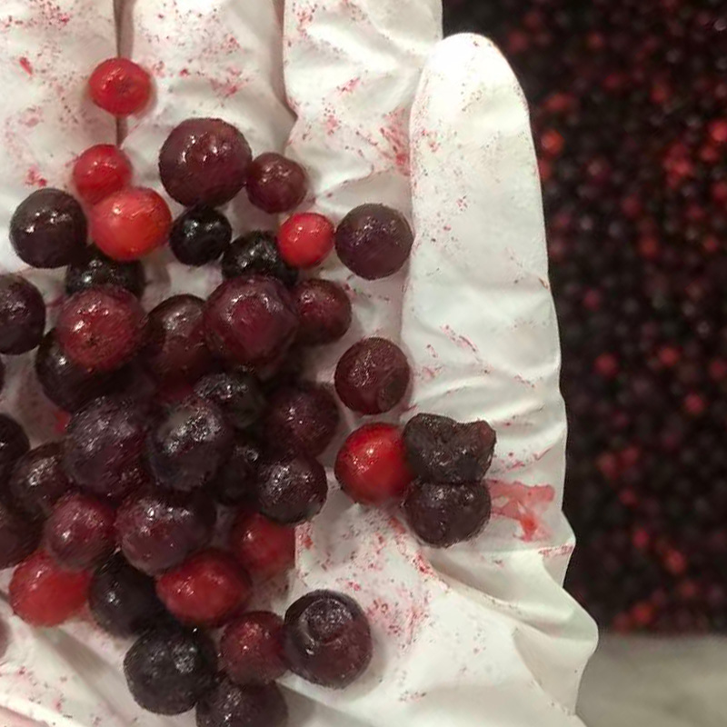 红豆果