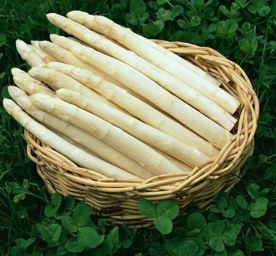 6e356553b5d55fbdc177c174cb691671 6e356553b5d55fbdc177c174cb691671