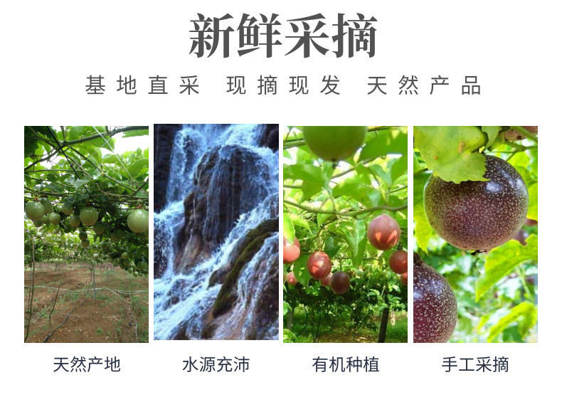 百香果中文-网站