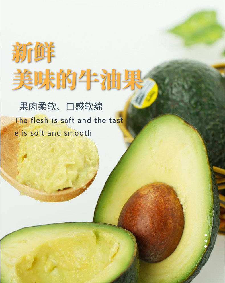 牛油果中文-网站