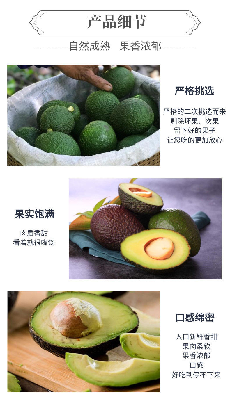 牛油果中文-网站