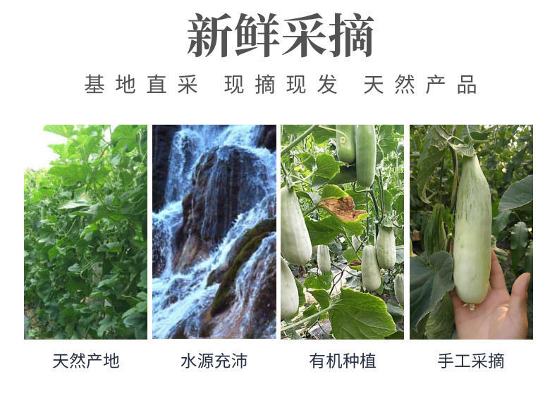 羊角蜜中文-网站