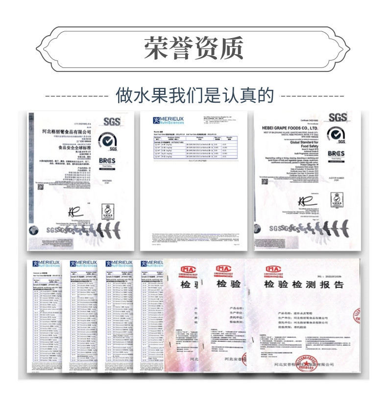 菠萝蜜中文-网站