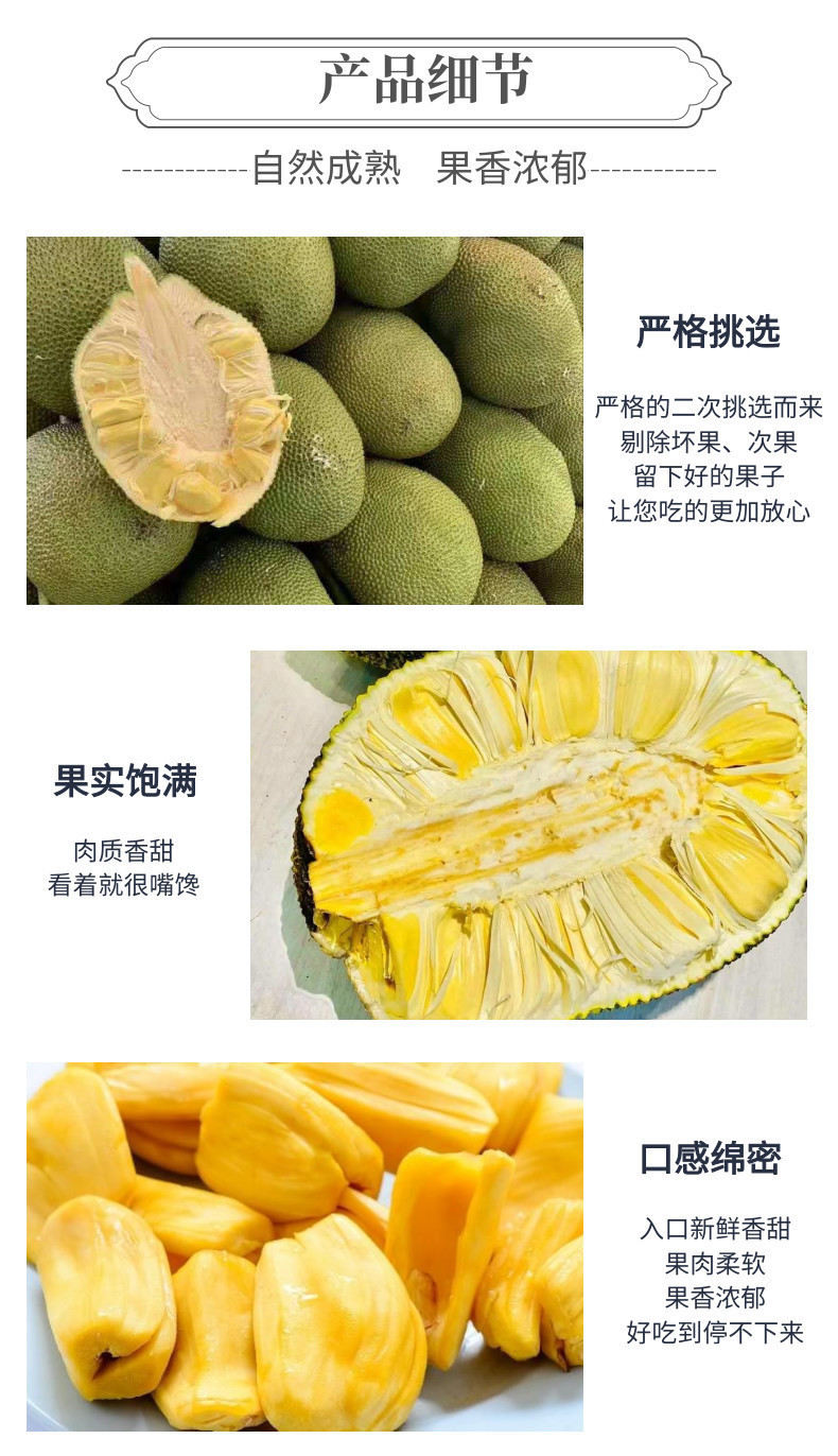 菠萝蜜中文-网站