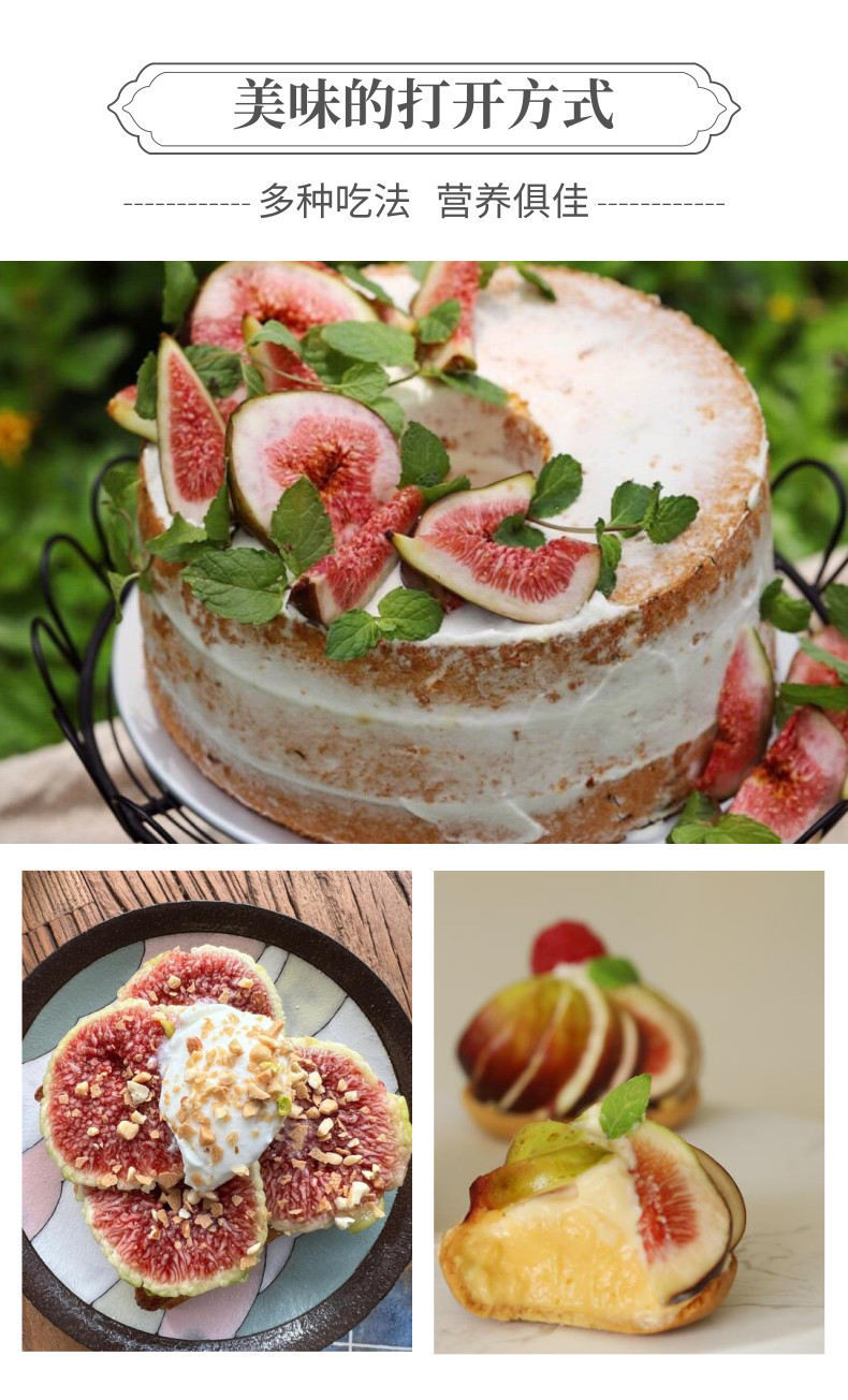 无花果中文-网站