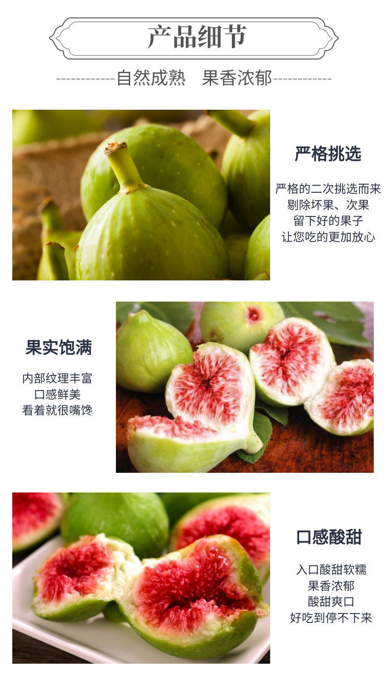 无花果中文-网站