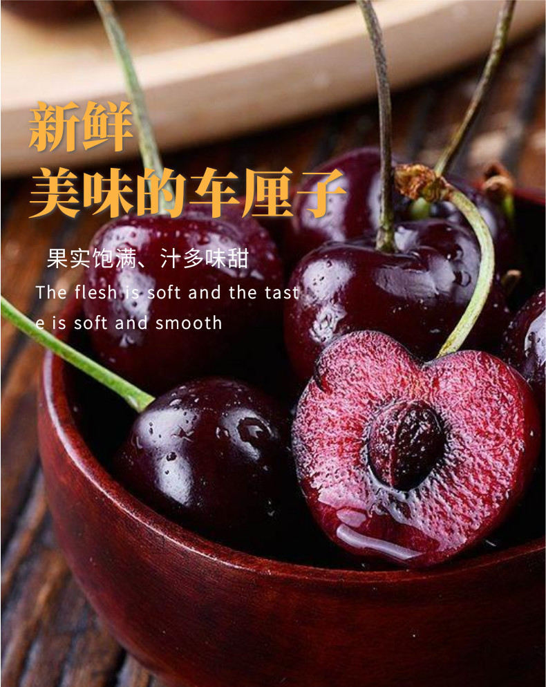 车厘子中文-网站