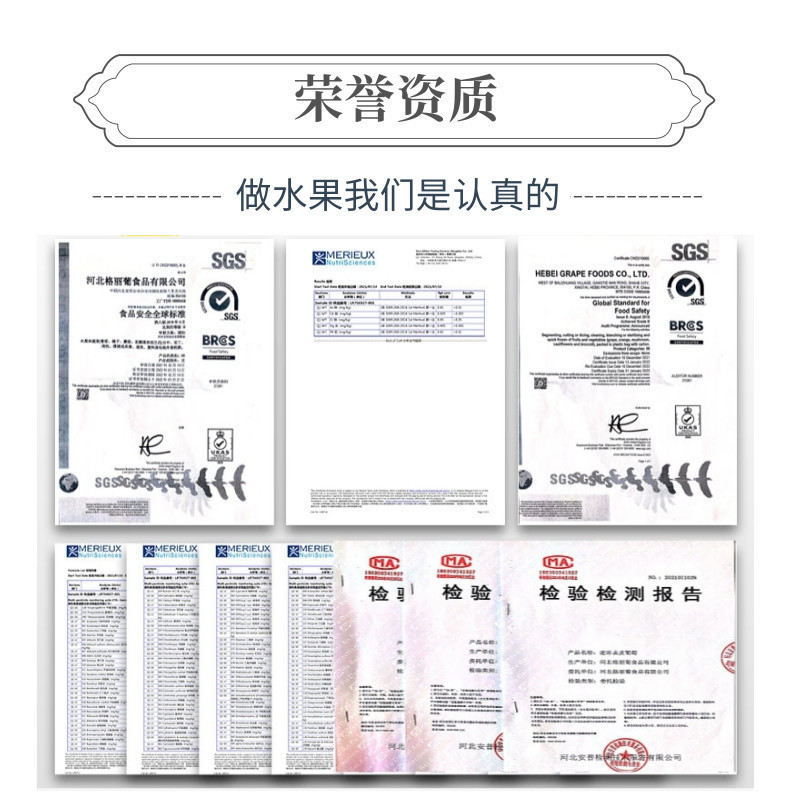 车厘子中文-网站