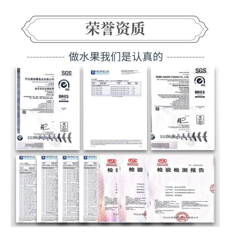 人参果网站-中文