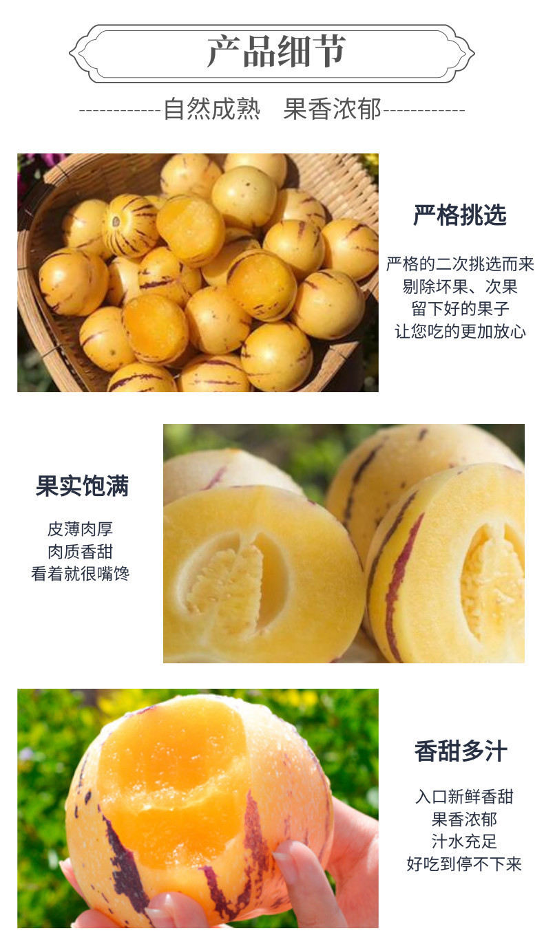 人参果网站-中文