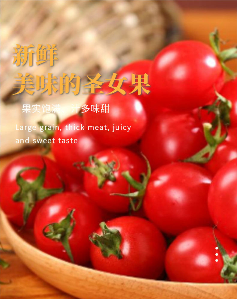 圣女果中文-网站