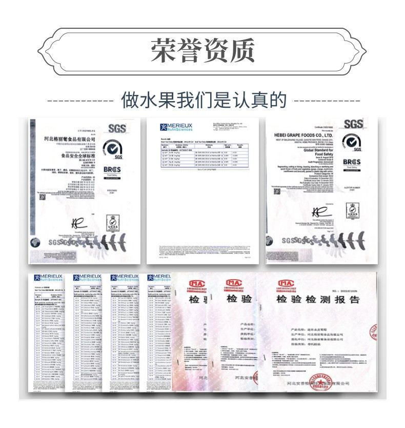 菇娘果中文-网站