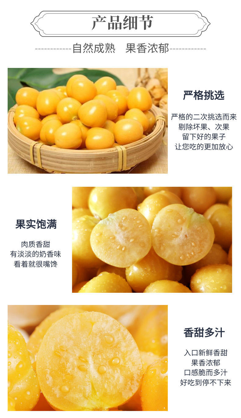 菇娘果中文-网站