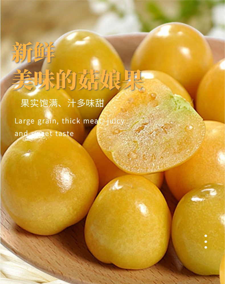 菇娘果中文-网站