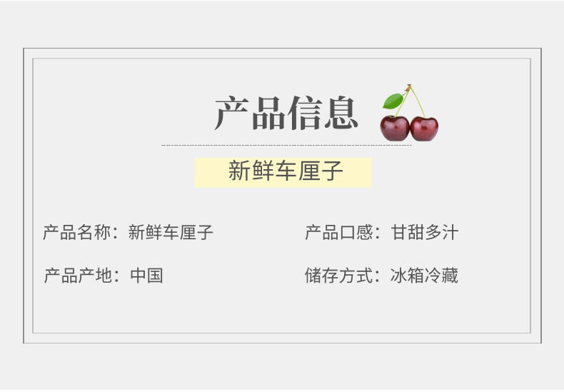 车厘子中文-网站