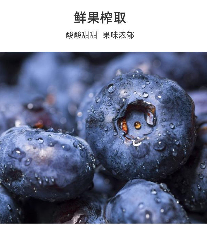 速冻蓝莓原浆