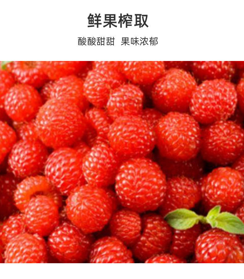 速冻树莓原浆