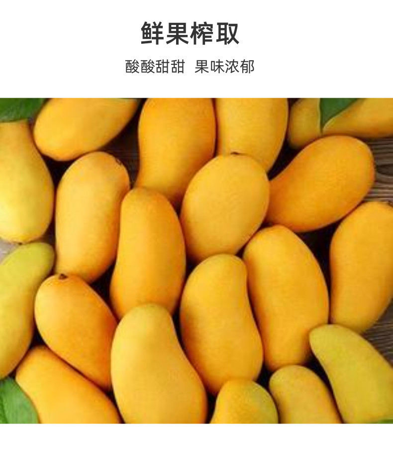 速冻芒果原浆