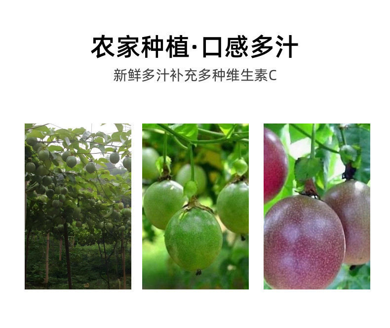 速冻百香果原浆