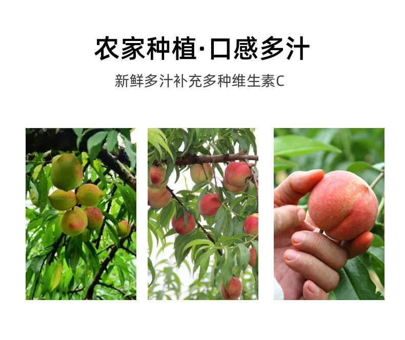 速冻水蜜桃原浆