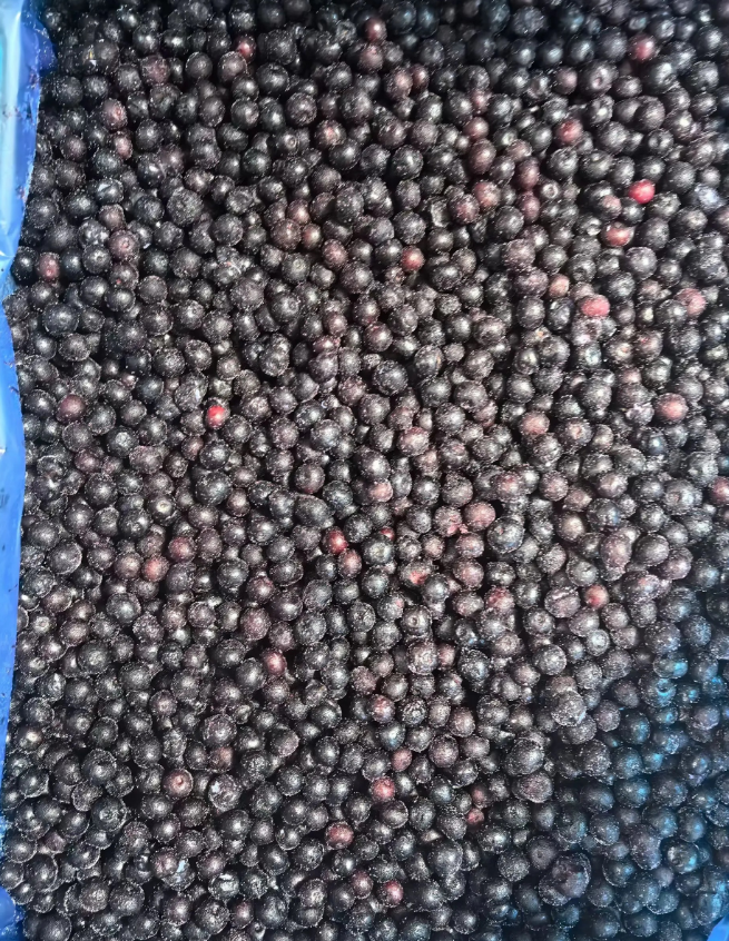 ba6d9df352bd7aaccf0a997d8b3370c5 ba6d9df352bd7aaccf0a997d8b3370c5