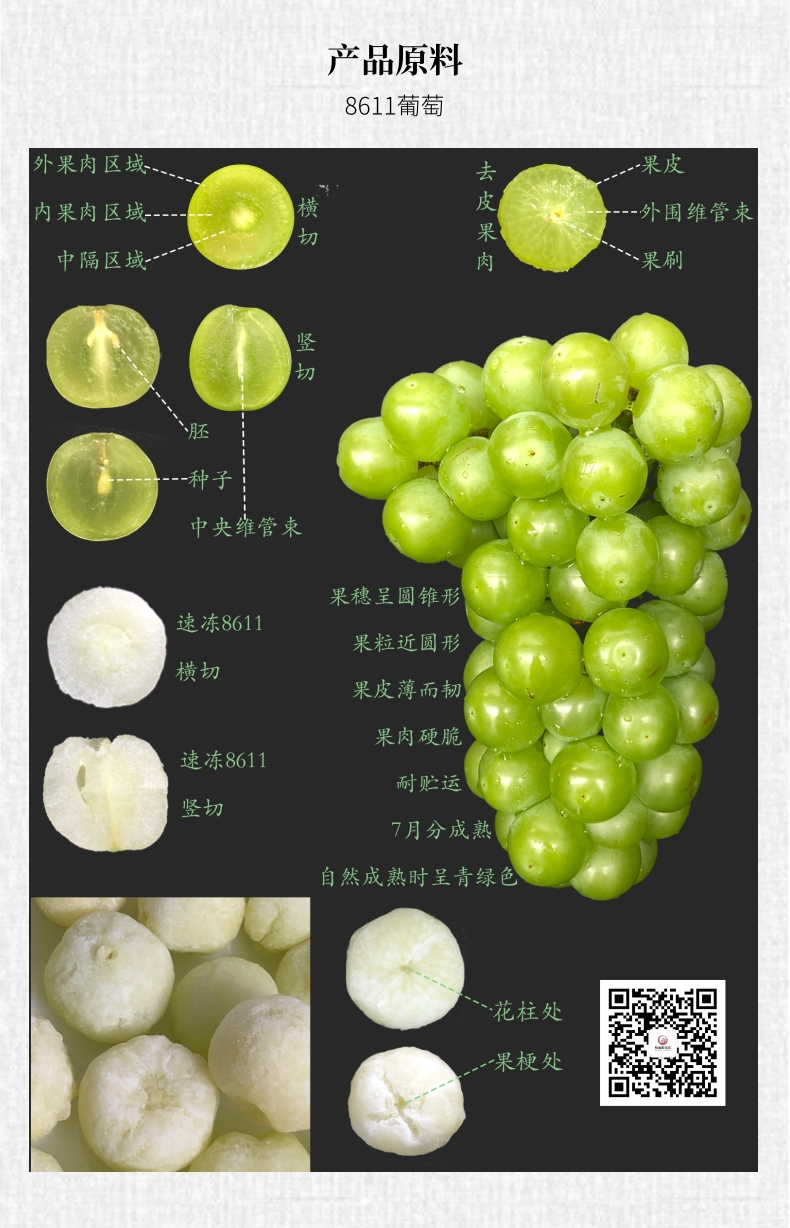 速冻8611葡萄 (1)